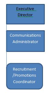 2016-recruitment-promotions-flow-chart