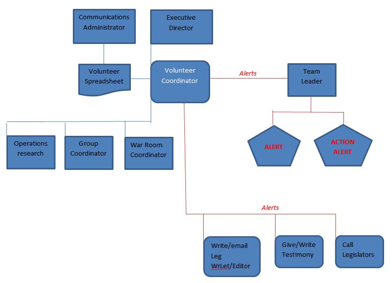 Volunteer Organization Chart